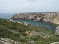 P, Faro, Vila do Bispo, Cabo Sao Vicente 148, Saxifraga-Willem van Kruijsbergen