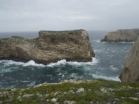 P, Faro, Vila do Bispo, Cabo Sao Vicente 17, Saxifraga-Willem van Kruijsbergen