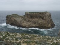 P, Faro, Vila do Bispo, Cabo Sao Vicente 18, Saxifraga-Willem van Kruijsbergen