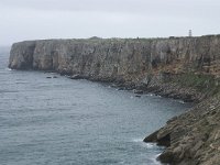 P, Faro, Vila do Bispo, Cabo Sao Vicente 36, Saxifraga-Willem van Kruijsbergen