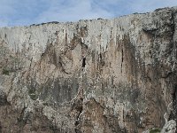 P, Faro, Vila do Bispo, Cabo Sao Vicente 67, Saxifraga-Willem van Kruijsbergen