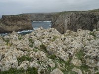 P, Faro, Vila do Bispo, Cabo Sao Vicente 8, Saxifraga-Willem van Kruijsbergen