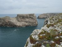 P, Faro, Vila do Bispo, Cabo Sao Vicente 95, Saxifraga-Willem van Kruijsbergen