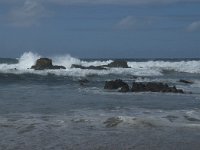 P, Faro, Vila do Bispo, Praia da Cordoama 103, Saxifraga-Willem van Kruijsbergen