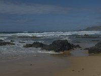 P, Faro, Vila do Bispo, Praia da Cordoama 106, Saxifraga-Willem van Kruijsbergen