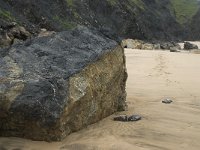 P, Faro, Vila do Bispo, Praia da Cordoama 41, Saxifraga-Willem van Kruijsbergen