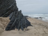 P, Faro, Vila do Bispo, Praia da Cordoama 55, Saxifraga-Willem van Kruijsbergen