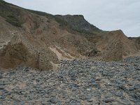 P, Faro, Vila do Bispo, Praia da Cordoama 61, Saxifraga-Willem van Kruijsbergen