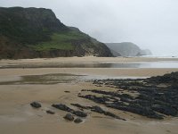 P, Faro, Vila do Bispo, Praia da Cordoama 8, Saxifraga-Willem van Kruijsbergen