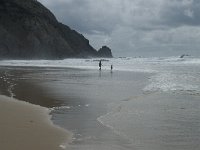 P, Faro, Vila do Bispo, Praia da Cordoama 84, Saxifraga-Willem van Kruijsbergen