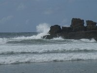 P, Faro, Vila do Bispo, Praia da Cordoama 86, Saxifraga-Willem van Kruijsbergen