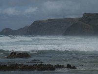 P, Faro, Vila do Bispo, Praia da Cordoama 91, Saxifraga-Willem van Kruijsbergen