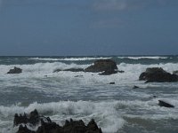 P, Faro, Vila do Bispo, Praia da Cordoama 95, Saxifraga-Willem van Kruijsbergen