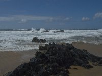 P, Faro, Vila do Bispo, Praia da Cordoama 99, Saxifraga-Willem van Kruijsbergen