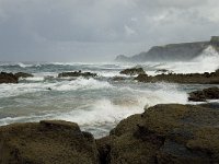 P, Faro, Vila do Bispo, Praia de Castelejo 26, Saxifraga-Willem van Kruijsbergen