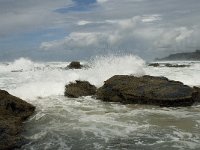 P, Faro, Vila do Bispo, Praia de Castelejo 37, Saxifraga-Willem van Kruijsbergen