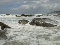 P, Faro, Vila do Bispo, Praia de Castelejo 38, Saxifraga-Willem van Kruijsbergen