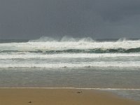 P, Faro, Vila do Bispo, Praia de Castelejo 4, Saxifraga-Willem van Kruijsbergen