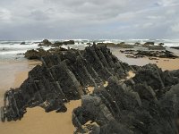 P, Faro, Vila do Bispo, Praia de Castelejo 41, Saxifraga-Willem van Kruijsbergen