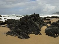 P, Faro, Vila do Bispo, Praia de Castelejo 42, Saxifraga-Willem van Kruijsbergen