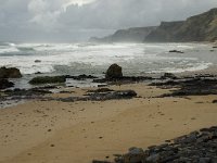 P, Faro, Vila do Bispo, Praia de Castelejo 49, Saxifraga-Willem van Kruijsbergen