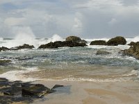 P, Faro, Vila do Bispo, Praia de Castelejo 53, Saxifraga-Willem van Kruijsbergen