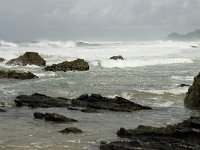 P, Faro, Vila do Bispo, Praia de Castelejo 57, Saxifraga-Willem van Kruijsbergen