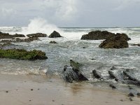 P, Faro, Vila do Bispo, Praia de Castelejo 58, Saxifraga-Willem van Kruijsbergen