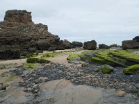 P, Faro, Vila do Bispo, Praia de Castelejo 71, Saxifraga-Willem van Kruijsbergen