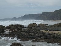 P, Faro, Vila do Bispo, Praia de Castelejo 72, Saxifraga-Willem van Kruijsbergen