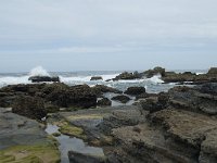 P, Faro, Vila do Bispo, Praia de Castelejo 74, Saxifraga-Willem van Kruijsbergen