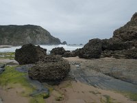 P, Faro, Vila do Bispo, Praia de Castelejo 77, Saxifraga-Willem van Kruijsbergen