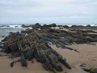 P, Faro, Vila do Bispo, Praia de Castelejo 80, Saxifraga-Willem van Kruijsbergen