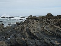 P, Faro, Vila do Bispo, Praia de Castelejo 81, Saxifraga-Willem van Kruijsbergen