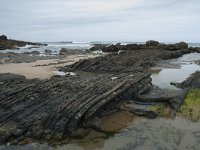 P, Faro, Vila do Bispo, Praia de Castelejo 89, Saxifraga-Willem van Kruijsbergen