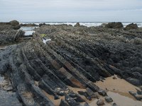 P, Faro, Vila do Bispo, Praia de Castelejo 91, Saxifraga-Willem van Kruijsbergen