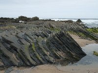 P, Faro, Vila do Bispo, Praia de Castelejo 93, Saxifraga-Willem van Kruijsbergen