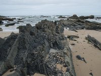 P, Faro, Vila do Bispo, Praia de Castelejo 96, Saxifraga-Willem van Kruijsbergen