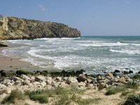 P, Faro, Vila do Bispo, Praia do Zavial 1, Saxifraga-Willem van Kruijsbergen