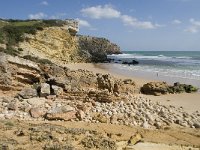 P, Faro, Vila do Bispo, Praia do Zavial 19, Saxifraga-Willem van Kruijsbergen