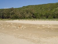 P, Faro, Vila do Bispo, Praia do Zavial 23, Saxifraga-Willem van Kruijsbergen