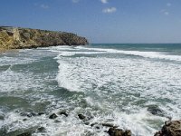 P, Faro, Vila do Bispo, Praia do Zavial 3, Saxifraga-Willem van Kruijsbergen