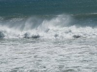 P, Faro, Vila do Bispo, Praia do Zavial 4, Saxifraga-Willem van Kruijsbergen