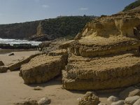 P, Faro, Vila do Bispo, Zavial 12, Saxifraga-Jan van der Straaten