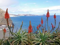 Madeira