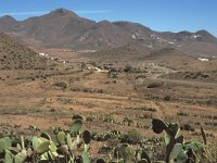 E, Almeria, Nijar, Cabo de Gata 107, Saxifraga-Jan van der Straten