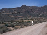 E, Almeria, Nijar, Cabo de Gata 109, Saxifraga-Jan van der Straten