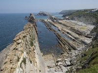 E, Cantabria, Liencres, Canales de los Urros 1, Saxifraga-Willem van Kruijsbergen