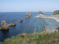 E, Cantabria, Liencres, Canales de los Urros 9, Saxifraga-Willem van Kruijsbergen