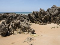 E, Cantabria, Liencres, Dunas de Liencres 89, Saxifraga-Willem van Kruijsbergen